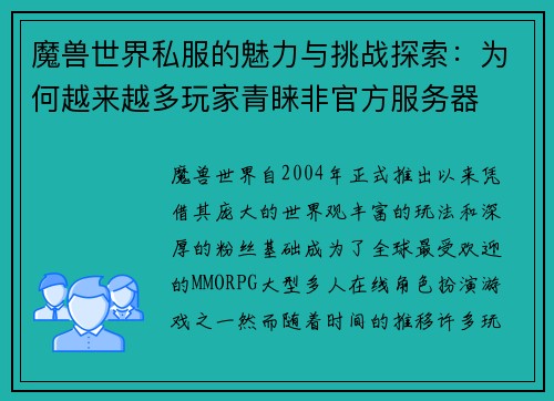 魔兽世界私服的魅力与挑战探索：为何越来越多玩家青睐非官方服务器